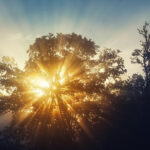 Qigong zur Sommersonnenwende