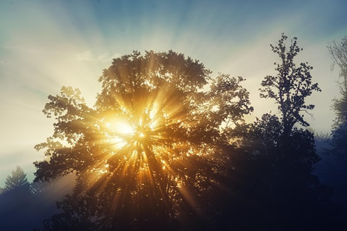 Qigong zur Sommersonnenwende